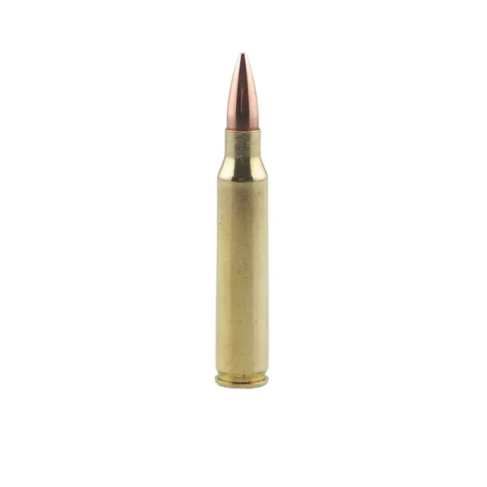Single brass rifle bullet cartridge with copper tip standing upright on white background