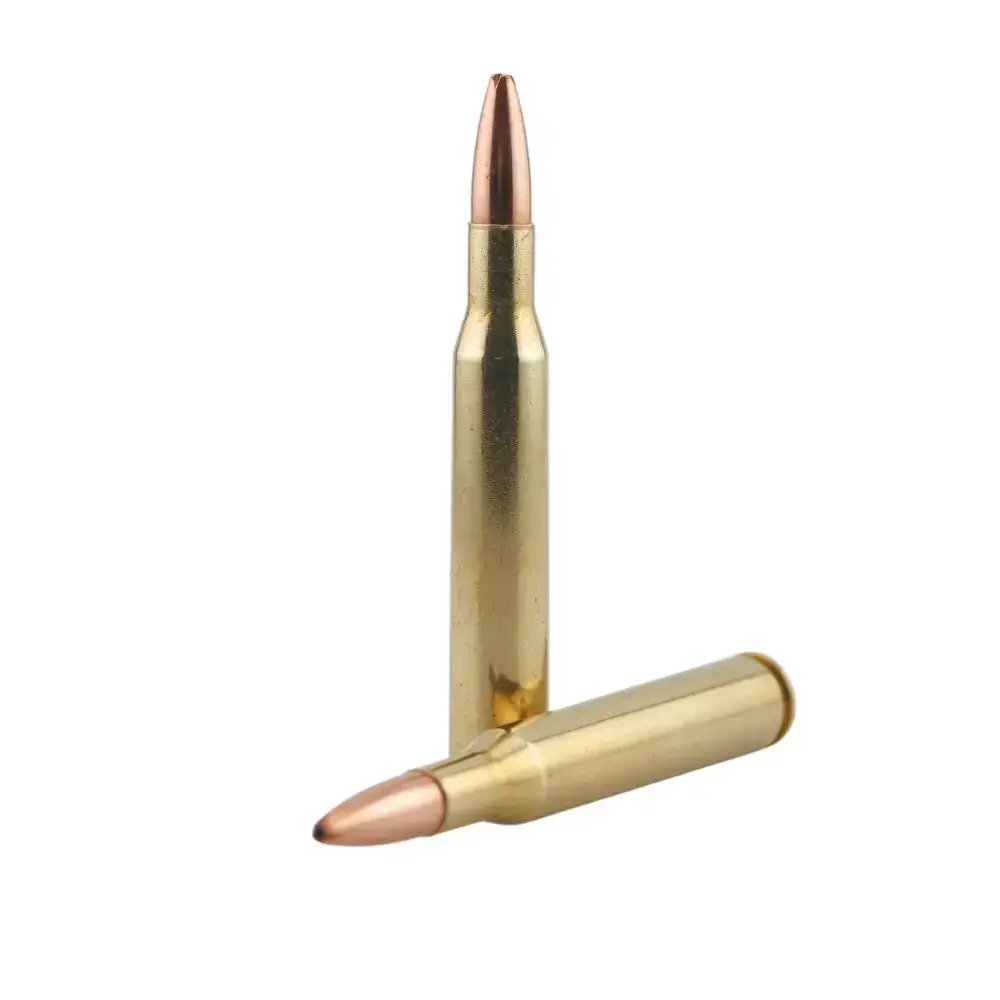 Two brass rifle bullets with copper tips, one standing upright and one lying horizontally on a white background.