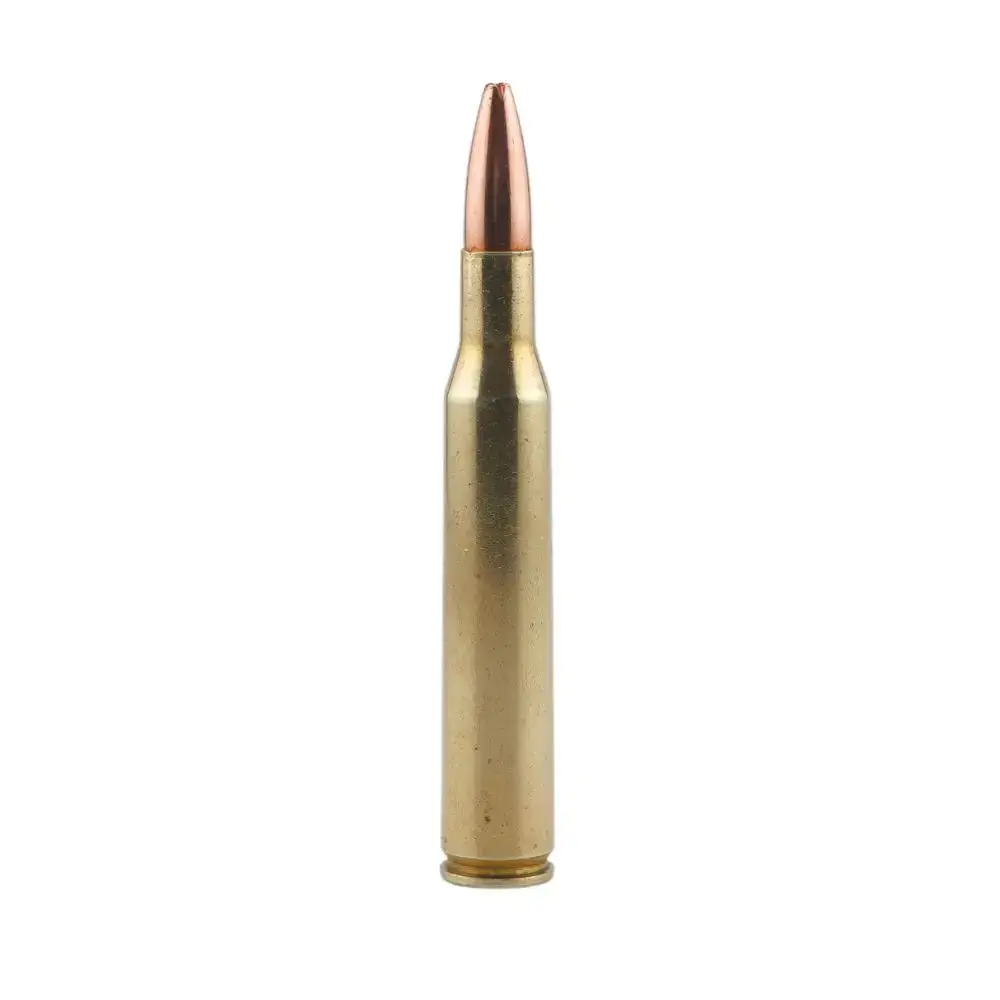 Copper-tipped rifle cartridge standing upright with a brass casing.