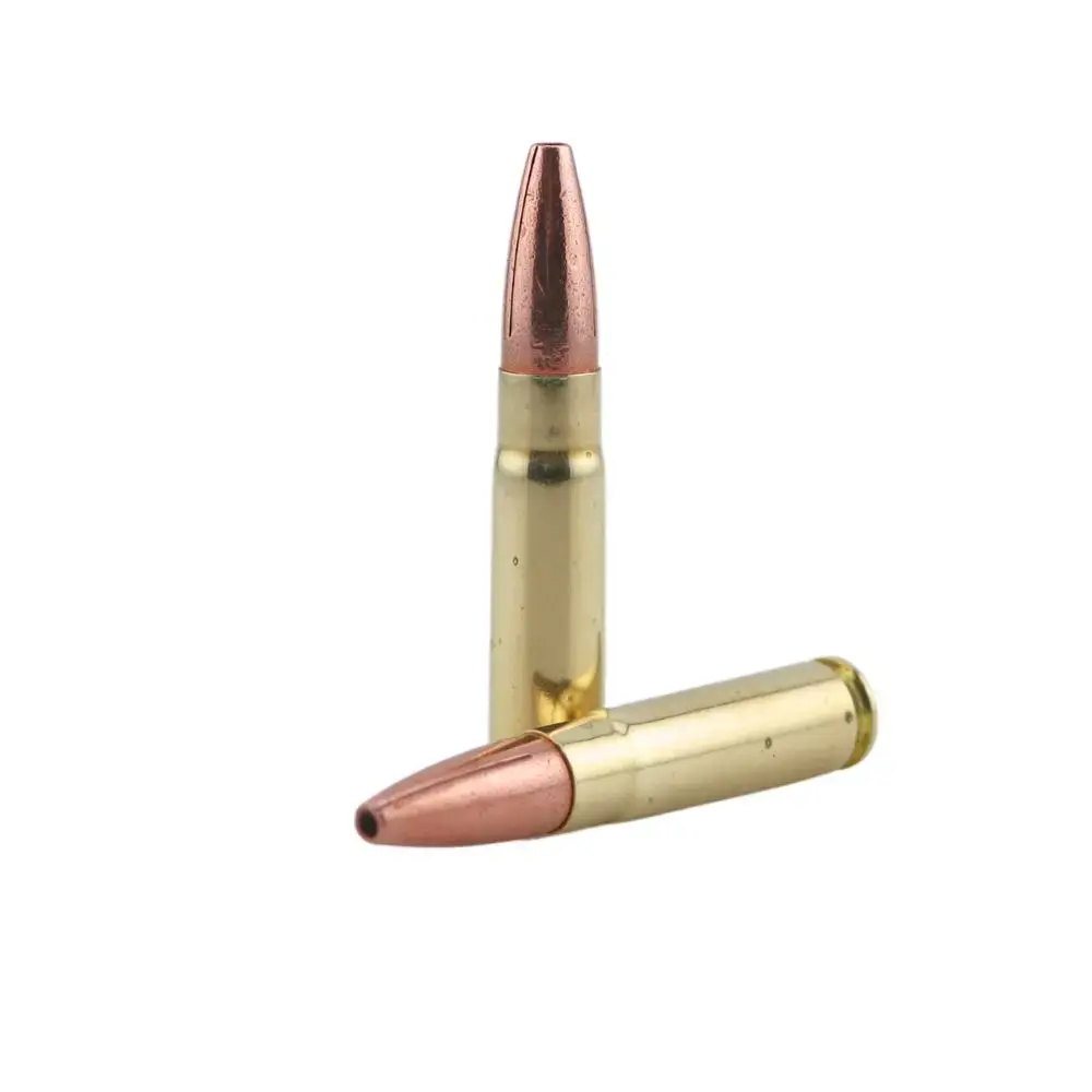 Two copper‑tip rifle cartridges with brass casings on a white background (one standing, one lying down)
