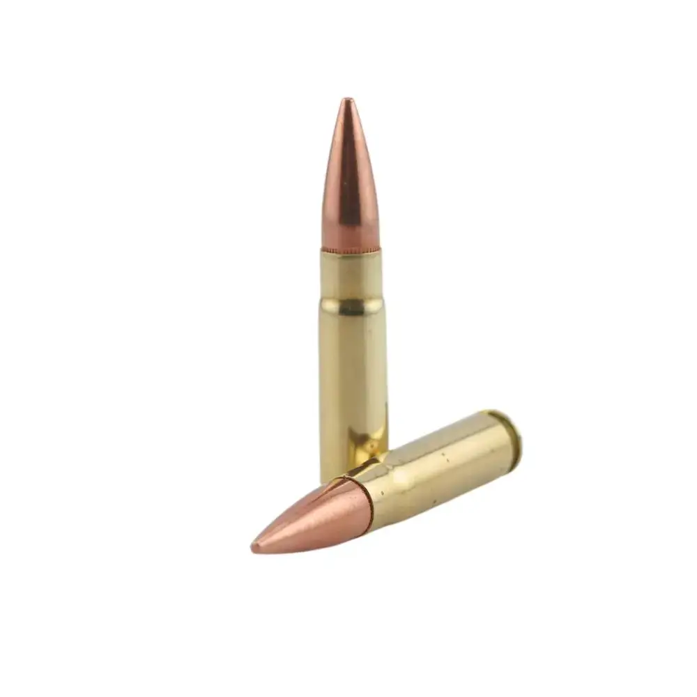 Copper-tipped rifle bullets with brass casings, one standing upright and one resting horizontally on white background