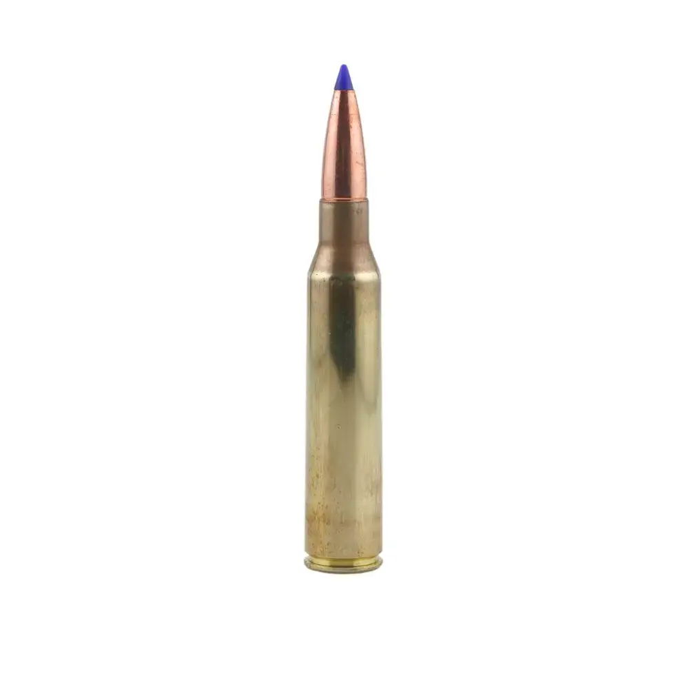 Single brass rifle cartridge standing upright with a blue-tipped bullet