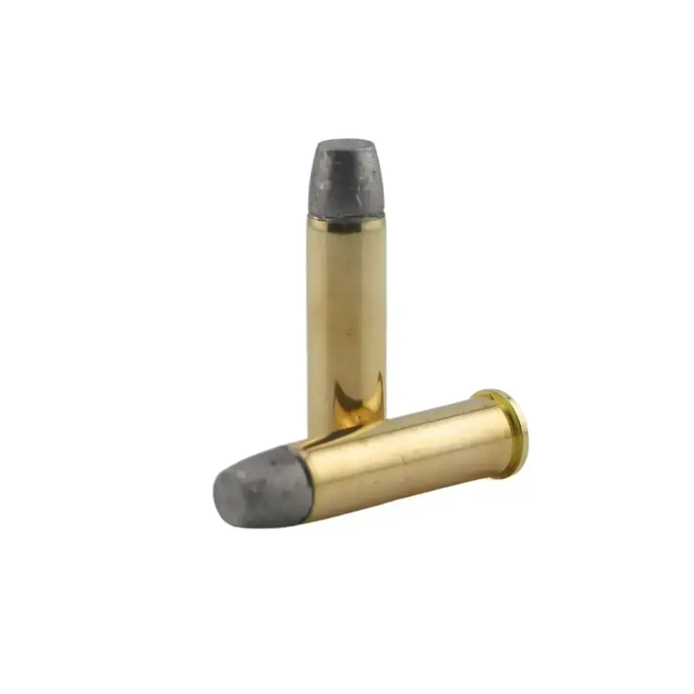 Two brass bullet cartridges with gray tips, one standing upright and the other lying on its side against a white background.